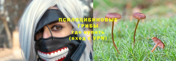 метадон Армянск