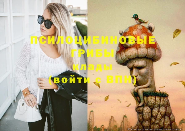 мет Россошь